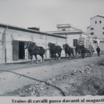 magazzini 1927