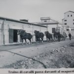 magazzini 1927