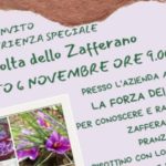 Camminata con lo Zafferano
